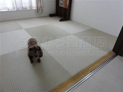 【フローリング（洋間）から琉球畳】やわらかい床で暮らしたい。（大阪寝屋川市）家庭用国産畳専門店うえむら畳6